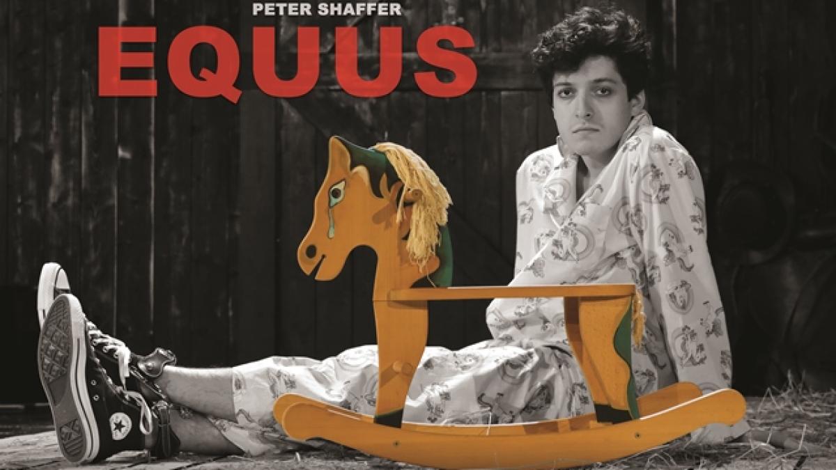 equus_100x70cm_afis-1web_03162000