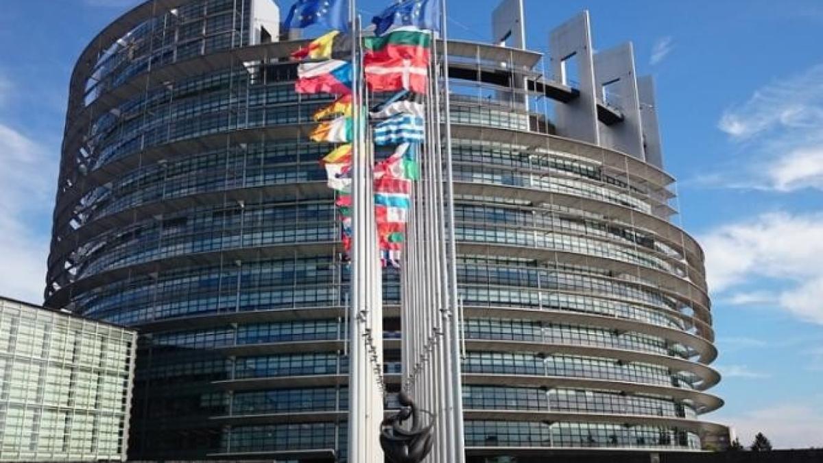 proiectul-generation-z--initprc-ccprc-a6iat-de-o-elevaprc-ccprc-86-din-capitalaprc-ccprc-86--iprc-ccprc-82n-competitprc-ccprc-a6ia-finalaprc-ccprc-86_87465800