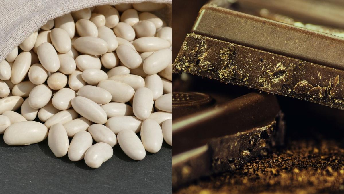 bilic--detaliu-cheie-intre-fasole-si-ciocolata-o-dovada-in-plus-ca-sanatatea-are-gust_35222400