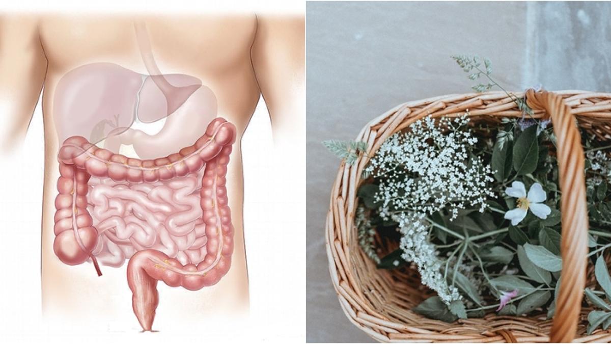 plantele-care-vindeca-bolile-ficatului--5-remedii-naturale_10738600