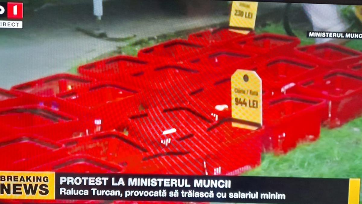 protest-la-ministerul-muncii--provocare-pentru-raluca-turcansa-traiesti-cu-salariul-minim_20920600