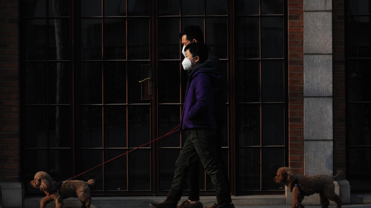 china-cia-structura_58620300