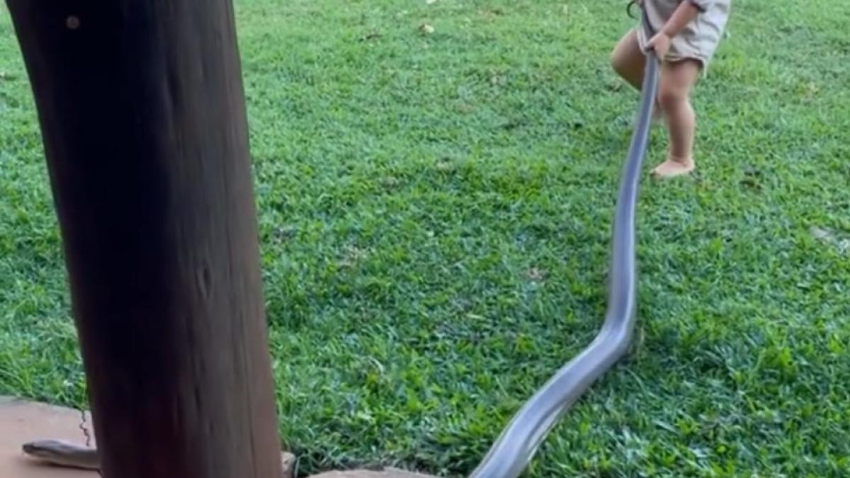 piton-urias-baiat-de-doi-ani-filmat_16791700