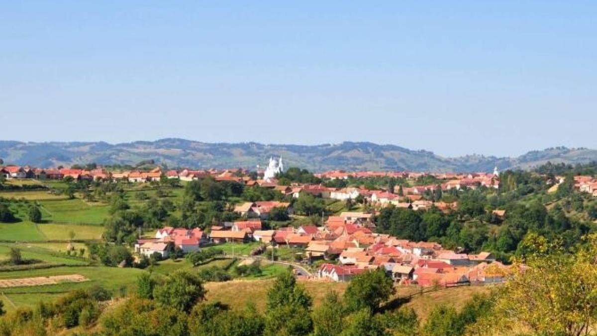 comuna-iprc-ccprc-82n-care-cei-ce-sprc-ccprc-a7i-au-iprc-ccprc-82ngropat-rudele-nu-cred-caprc-ccprc-86-existaprc-ccprc-86-covid-19_87283300