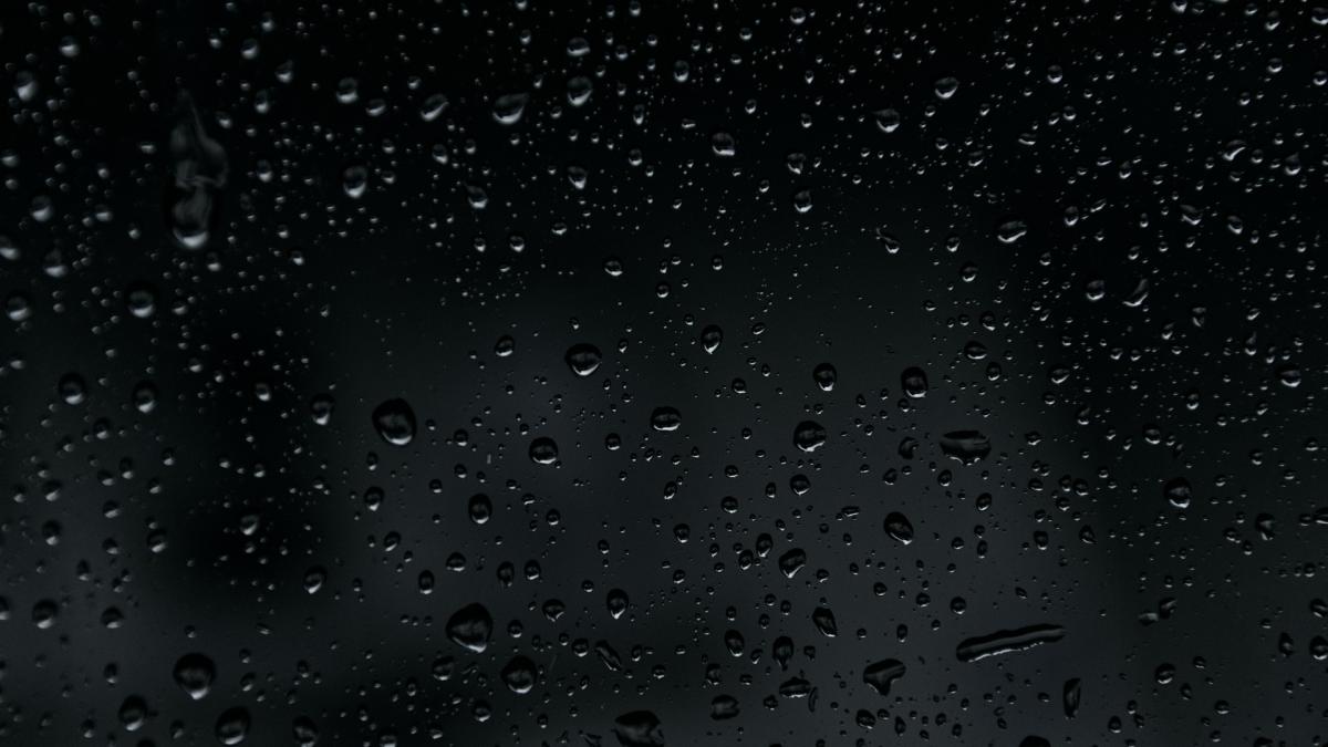 anm_prognza_4_saptamani_pxb_84839100