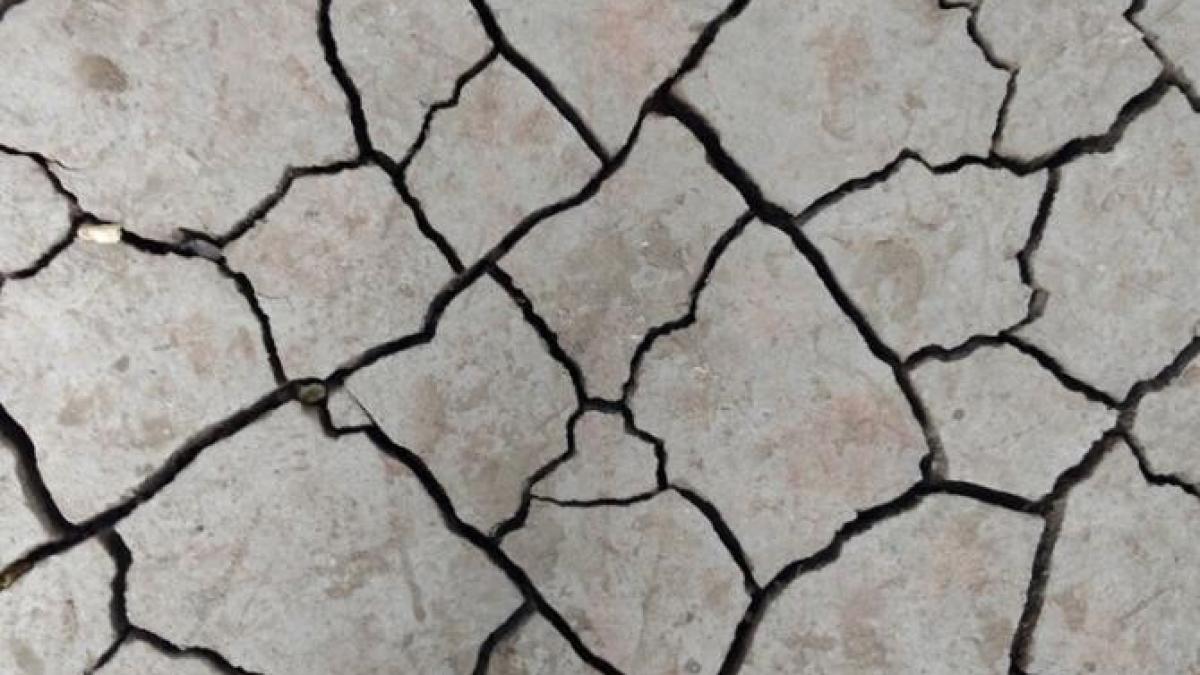 cum-procedatprc-ccprc-a6i-iprc-ccprc-82n-urma-unui-cutremur-puternic_06482100