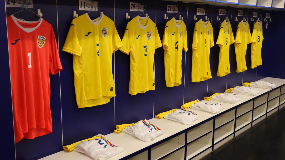 romania_selectioner_dragomir_piturca_fb_30384600