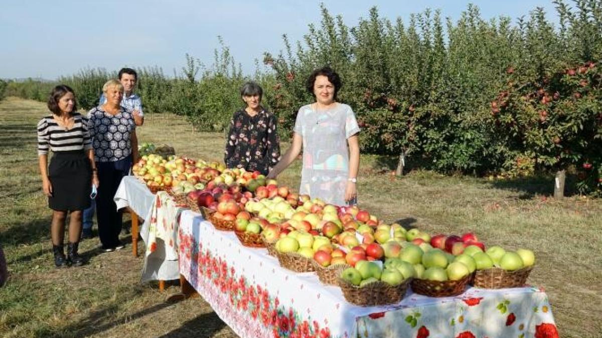 mergi-la-cules-de-mere-sprc-ccprc-a6i-pleci-acasaprc-ccprc-86-cu-ele-la-1-leu-kg_88671600