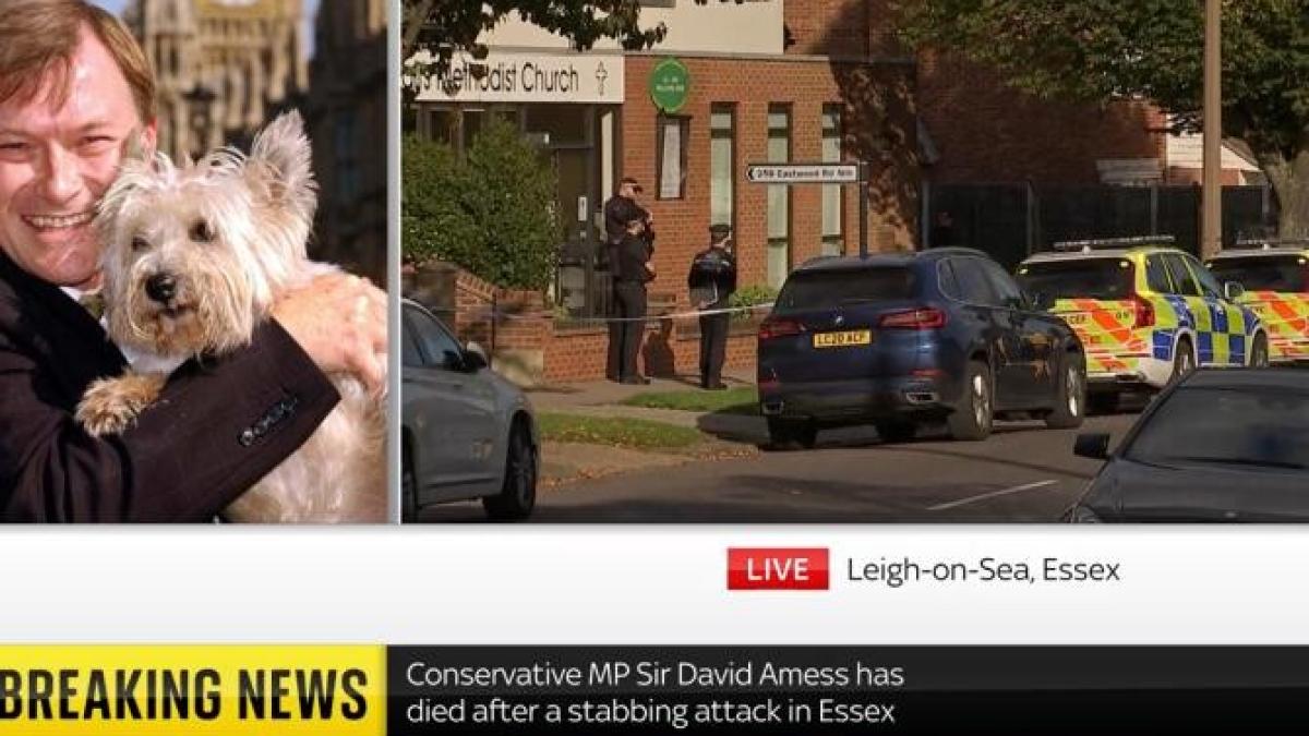 un-deputat-din-partidul-lui-boris-johnson--injunghiat-la-biserica--update-a-murit_24634900