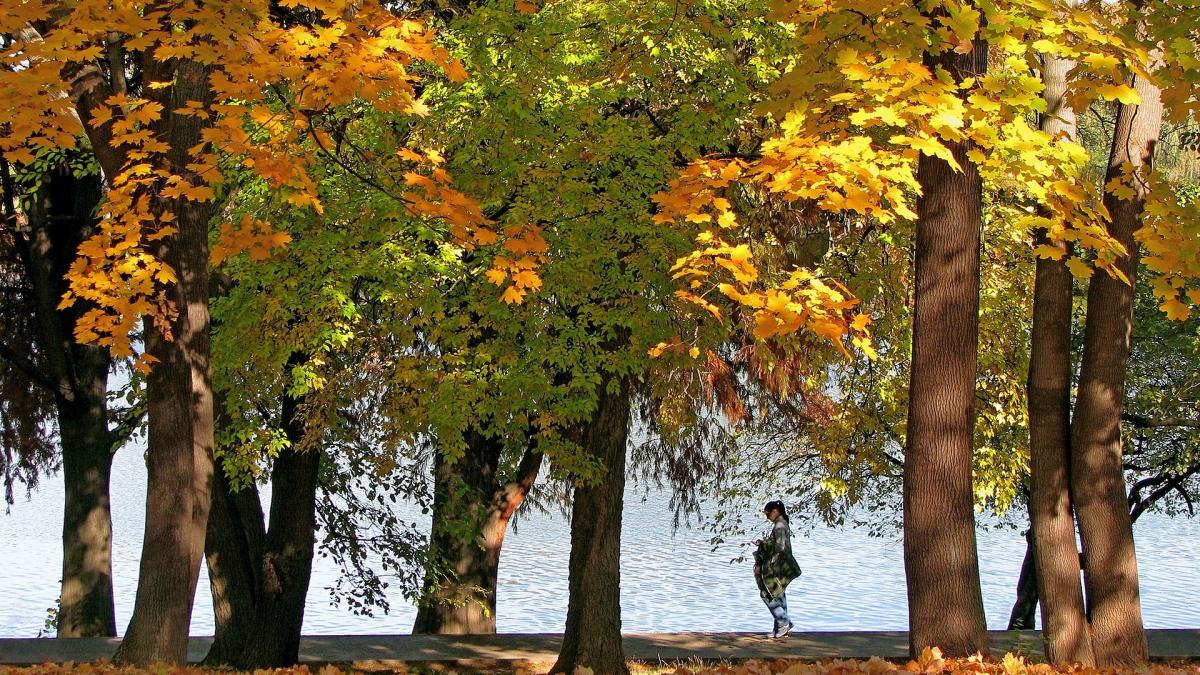 autumn-landscape-g75d0ac575_1920_13839100