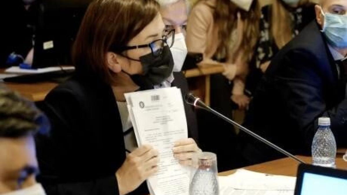 ioana_mihaila_document_gadea_cpv_95371600