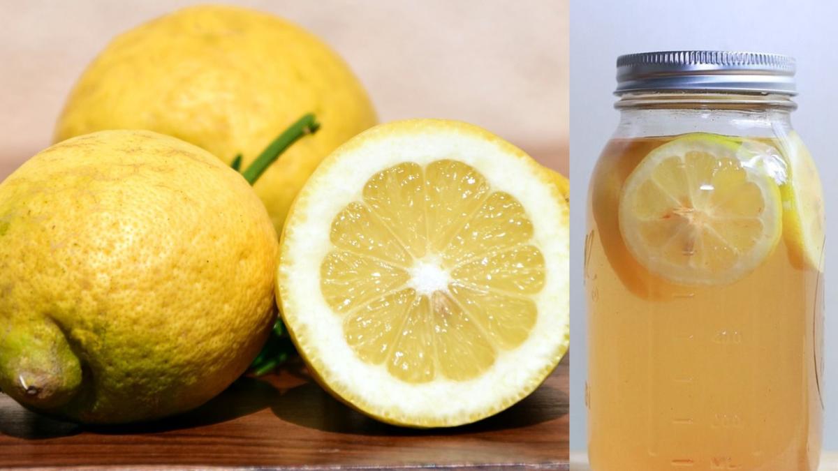 lamai-murate--reteta-geniala-la-care-nu-se-astepta-nimeni--cum-se-prepara-si-la-ce-sunt-bune_97289900