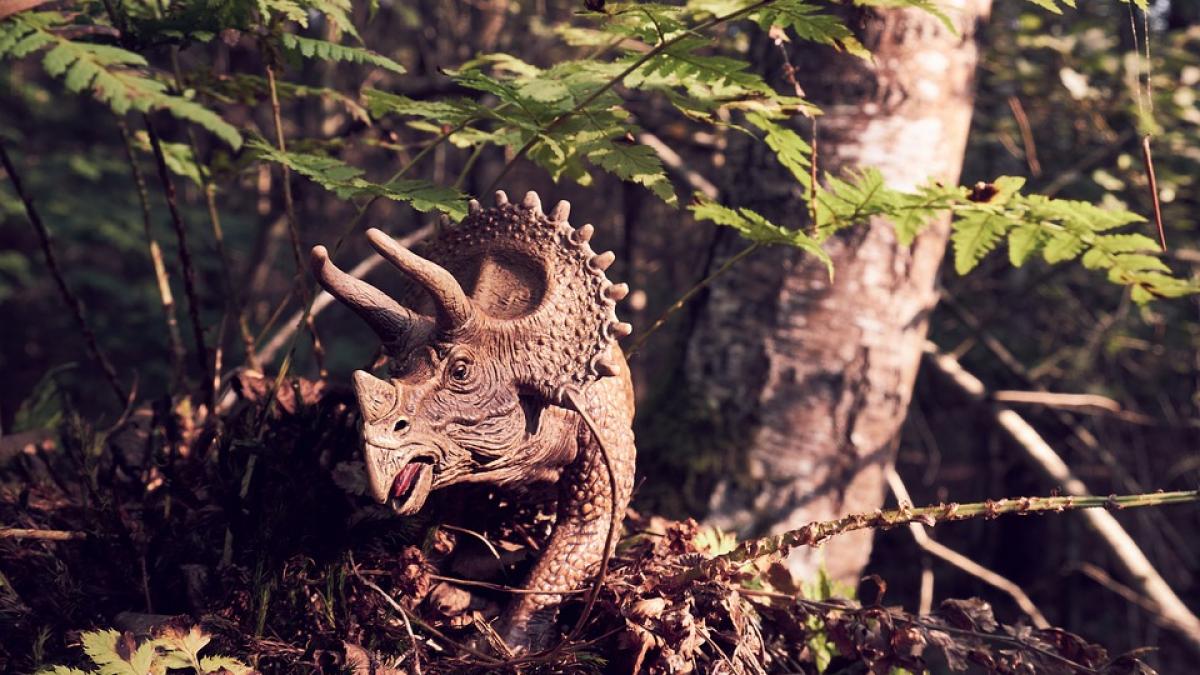 schelet-de-triceratops_64169400