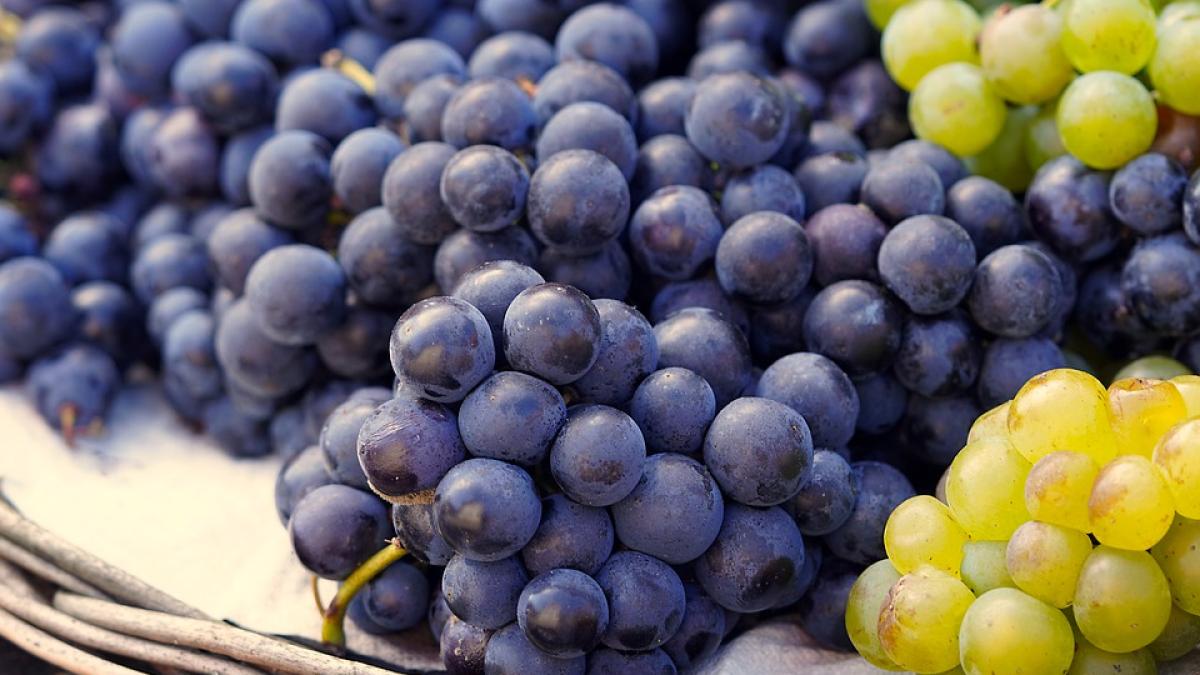 cum-pastrezi-strugurii-peste-iarna--te-vei-bucura-de-gustul-lor-delicios-mult-timp_63199700