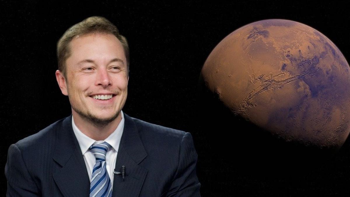 elon_musk_19069700
