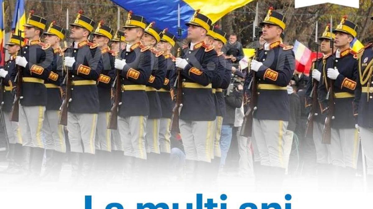 ioana-constantin--mesaj-de-ziua-armatei-romane-sa-pretuim-jertfa-lor-pentru-libertate-si-sa-le-aratam-respectul-cuvenit_56356900