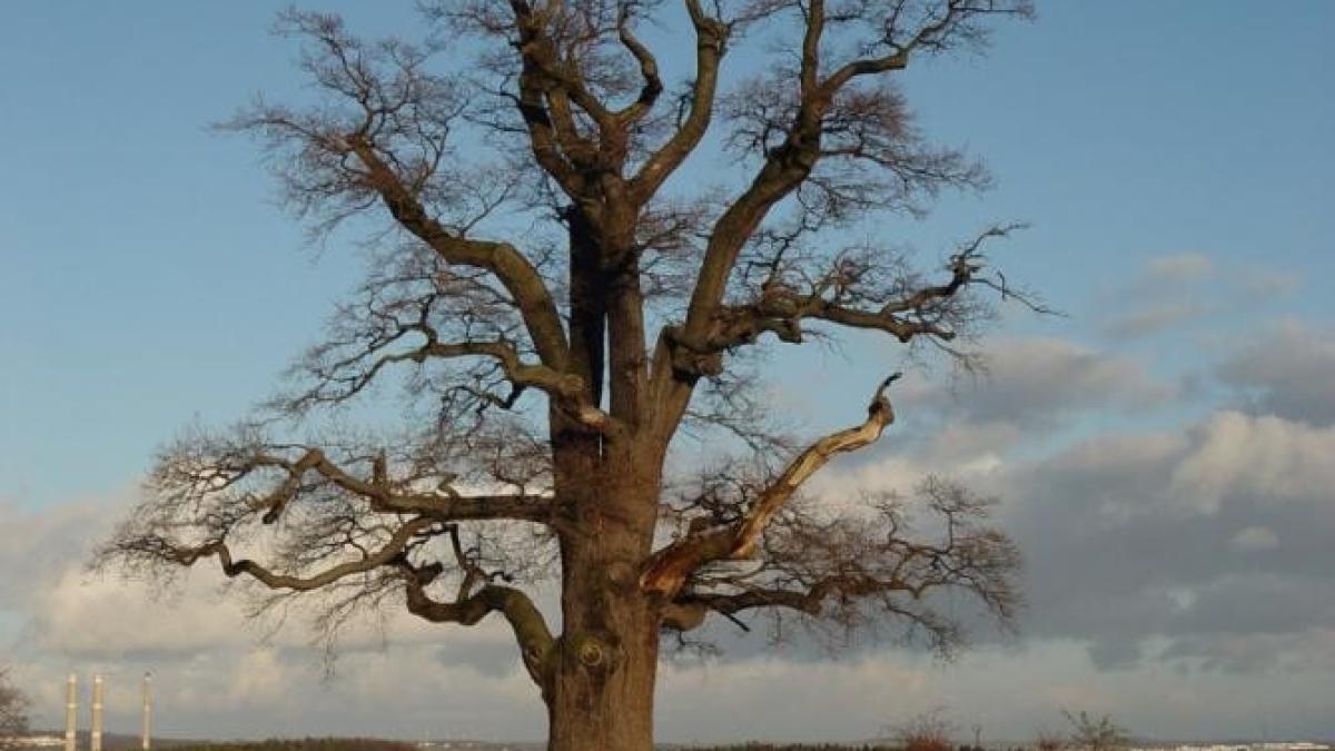 prognoza-meteo--vremea-pe-regiuni--de-la-vreme-frumoasaprc-ccprc-86_38846300