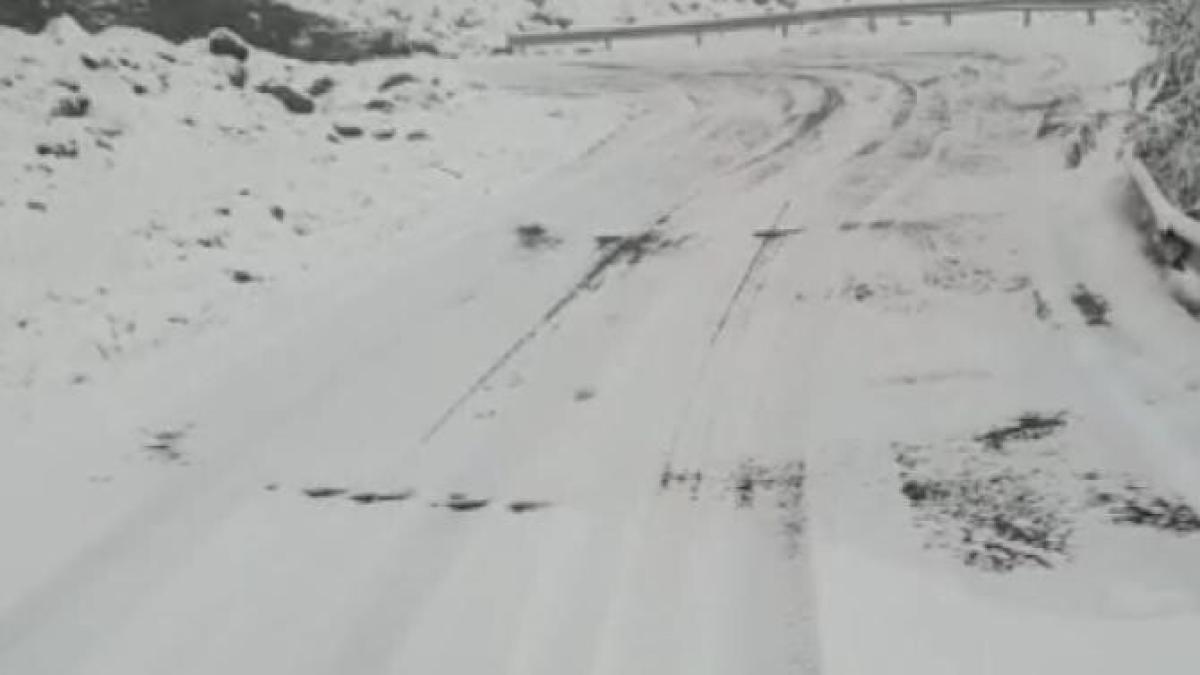 transfaprc-ccprc-86gaprc-ccprc-86raprc-ccprc-86sprc-ccprc-a6anul-se-iprc-ccprc-82nchide-de-astaprc-ccprc-86zi--25-octombrie_47902600