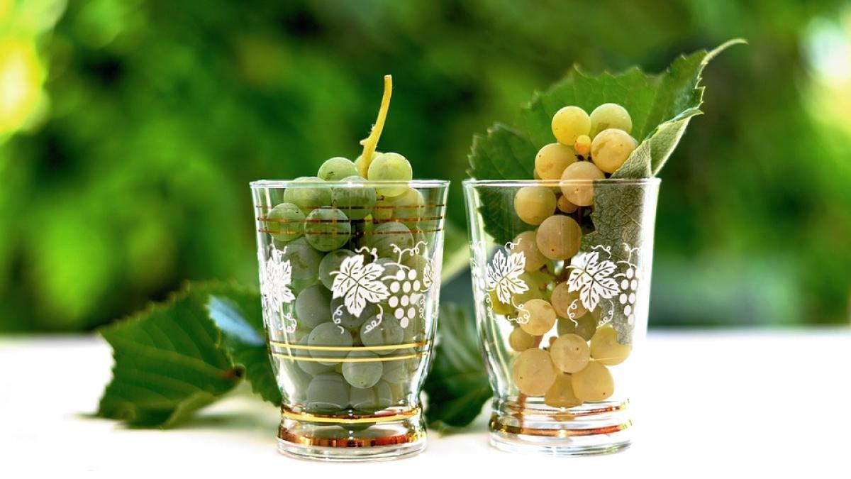 cei-mai-buni-struguri-pentru-vinul-alb--top-3-soiuri_99198100