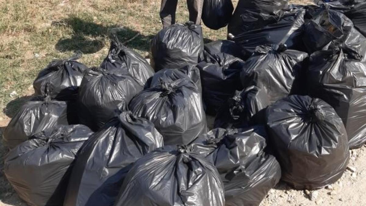 peste-78-000-de-voluntari-au-participat-la-ziua-natprc-ccprc-a7ionalaprc-ccprc-86-de-curaprc-ccprc-86tprc-ccprc-a7enie_96213200