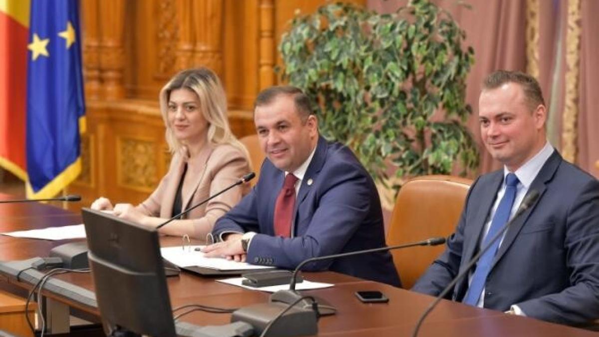 nicusor_halici_00481300