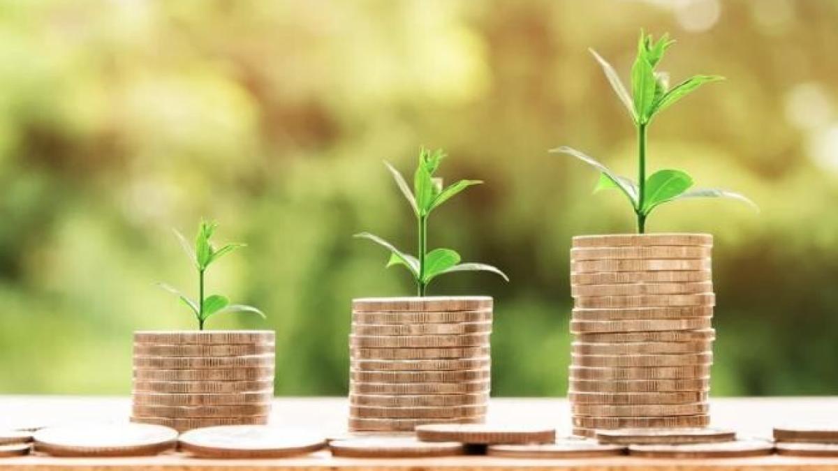 marilen-pirtea--despre-crizaprc-ccprc-86_63318000