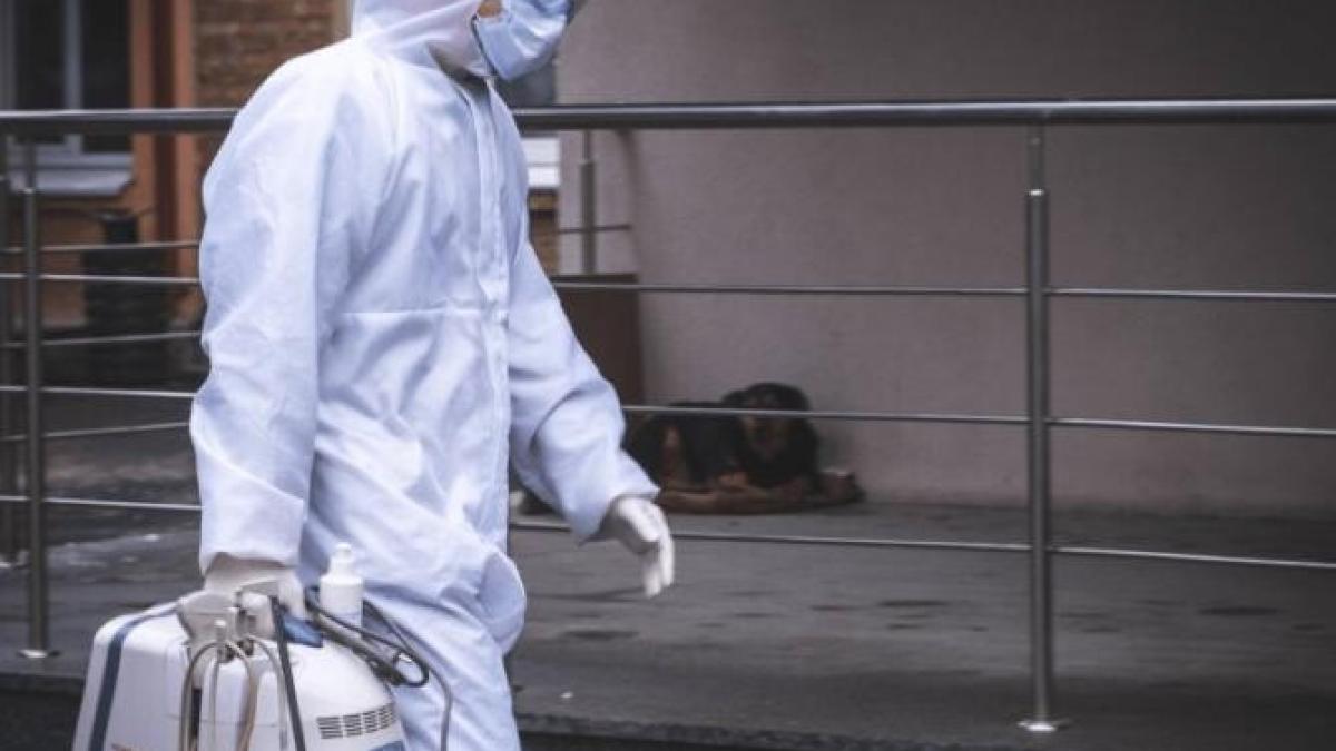 ungaria-ne-da-40-de-ventilatoare-si-3-000-de-cutii-de-favipiravir_22763500