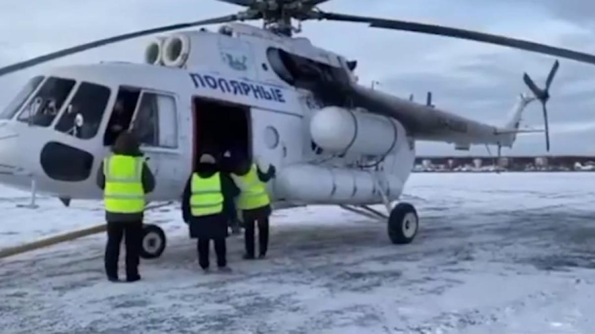 barbat-regatul-de-gheata_35825500