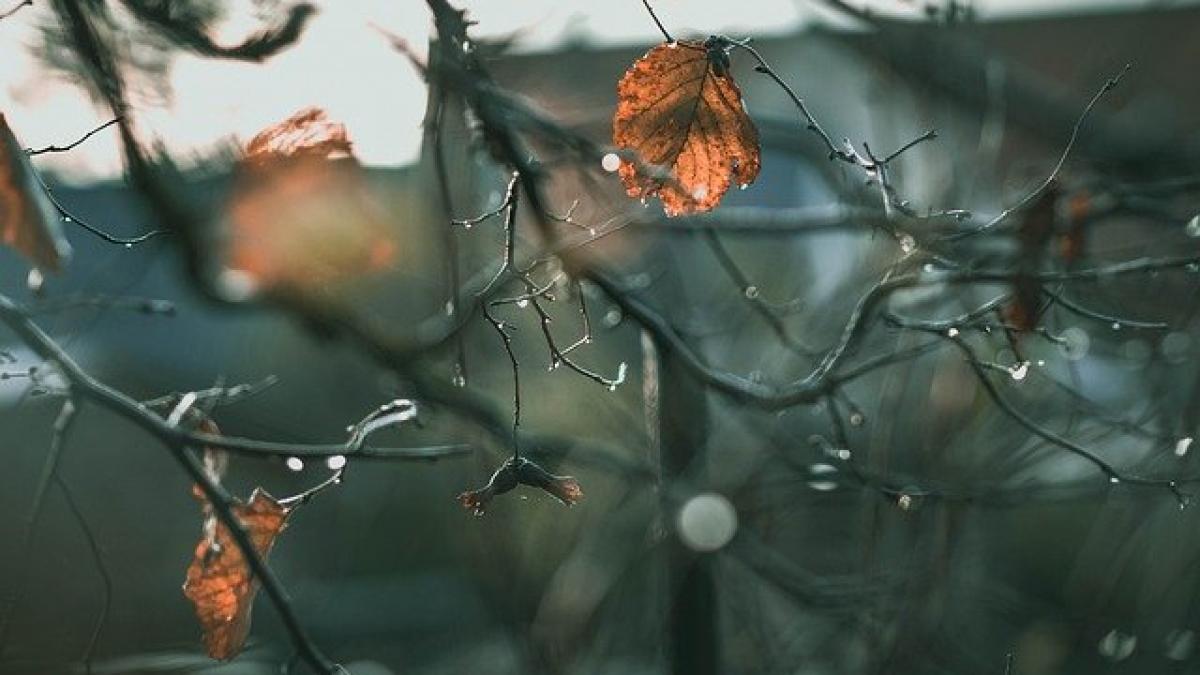 anm-interviu-vreme-prognoza-meteo_08072800