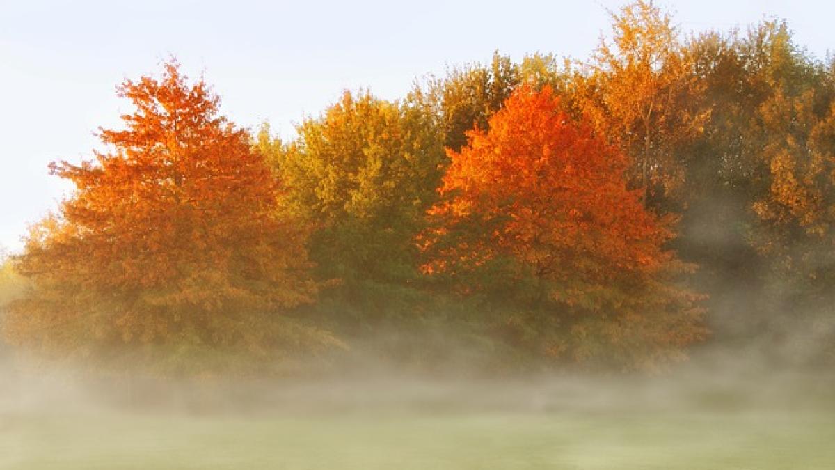 alerte-meteo-vreme-prognoza-cod-galben-anm_85815600