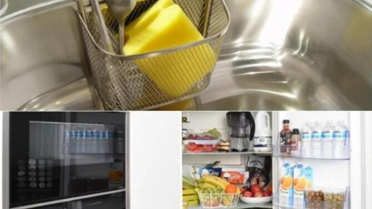 de-ce-sa-tii-mereu-un-burete-in-frigider--te-ajuta-foarte-mult_63689900