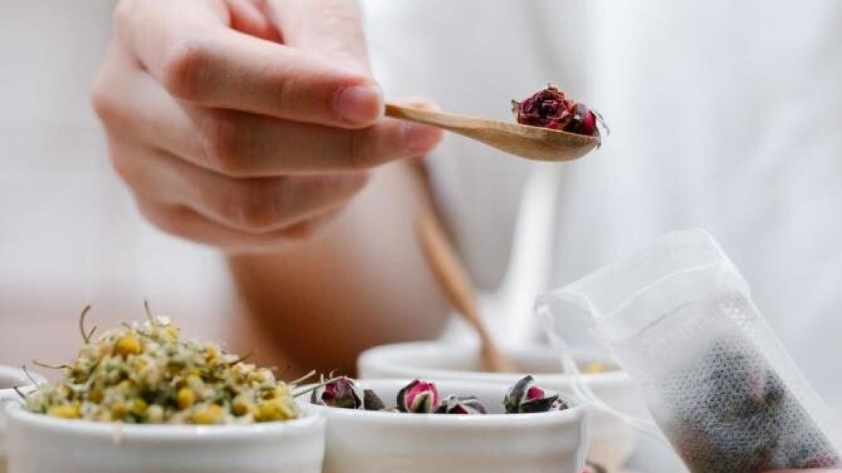 plantele-care-vindeca-rapid-ranile--sunt-cele-mai-bune_77699100