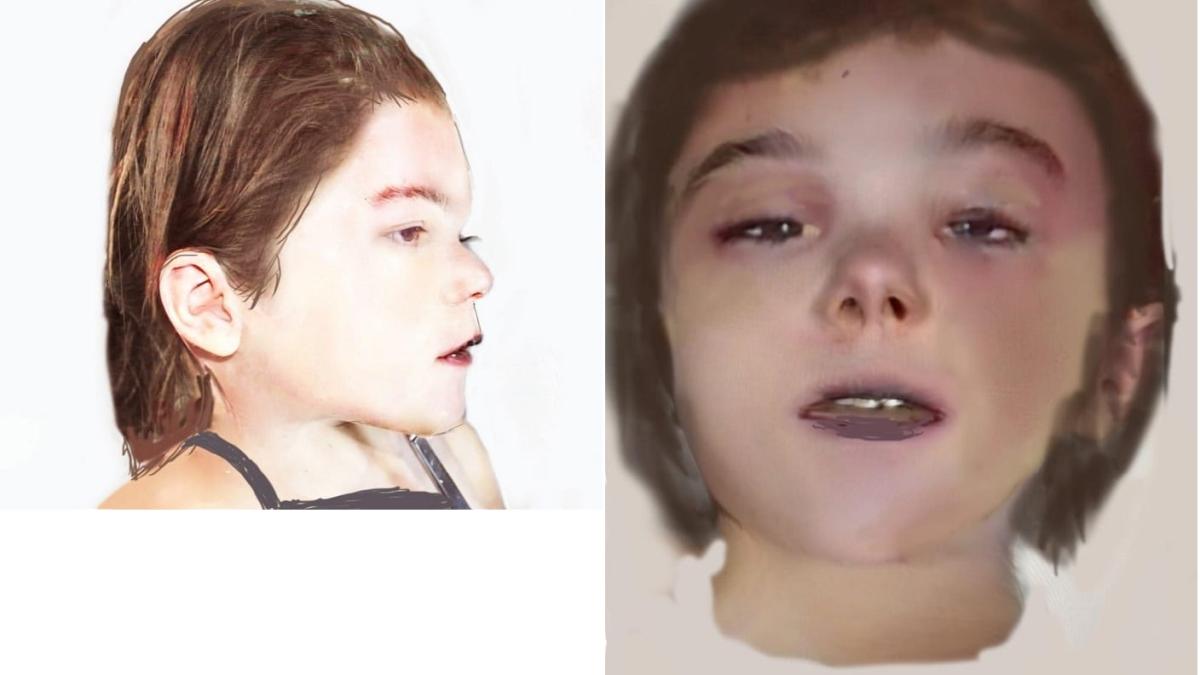 fetita_ucisa_arad_ministerul_public1_fb_04202100