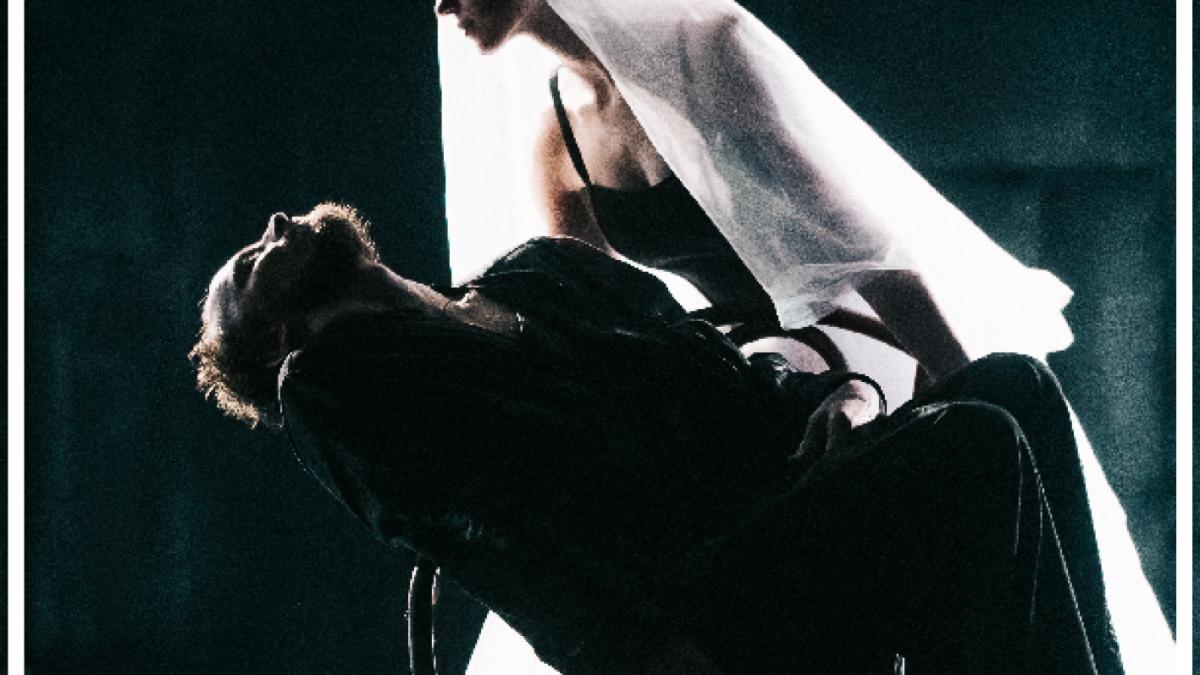 idiotul-scena-digitala_56836900