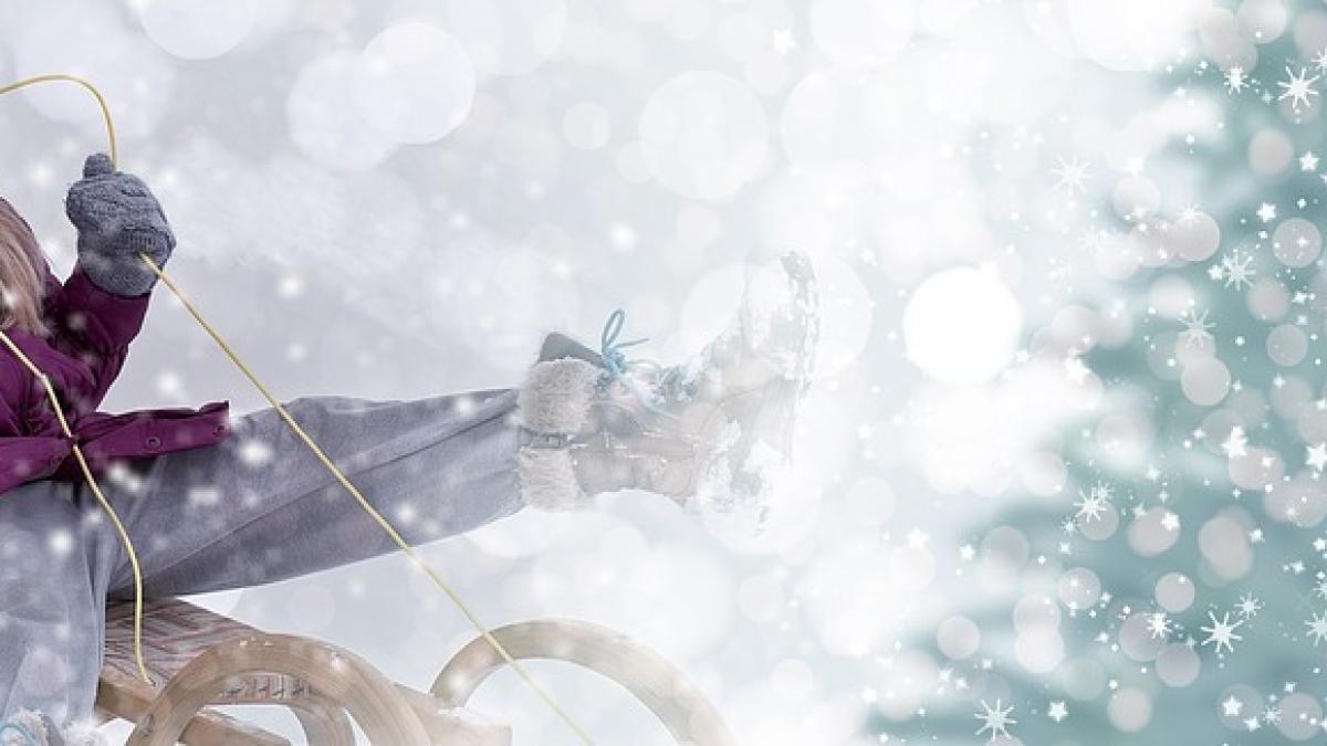 jurma-sarbatori-iarna-platou_99258500