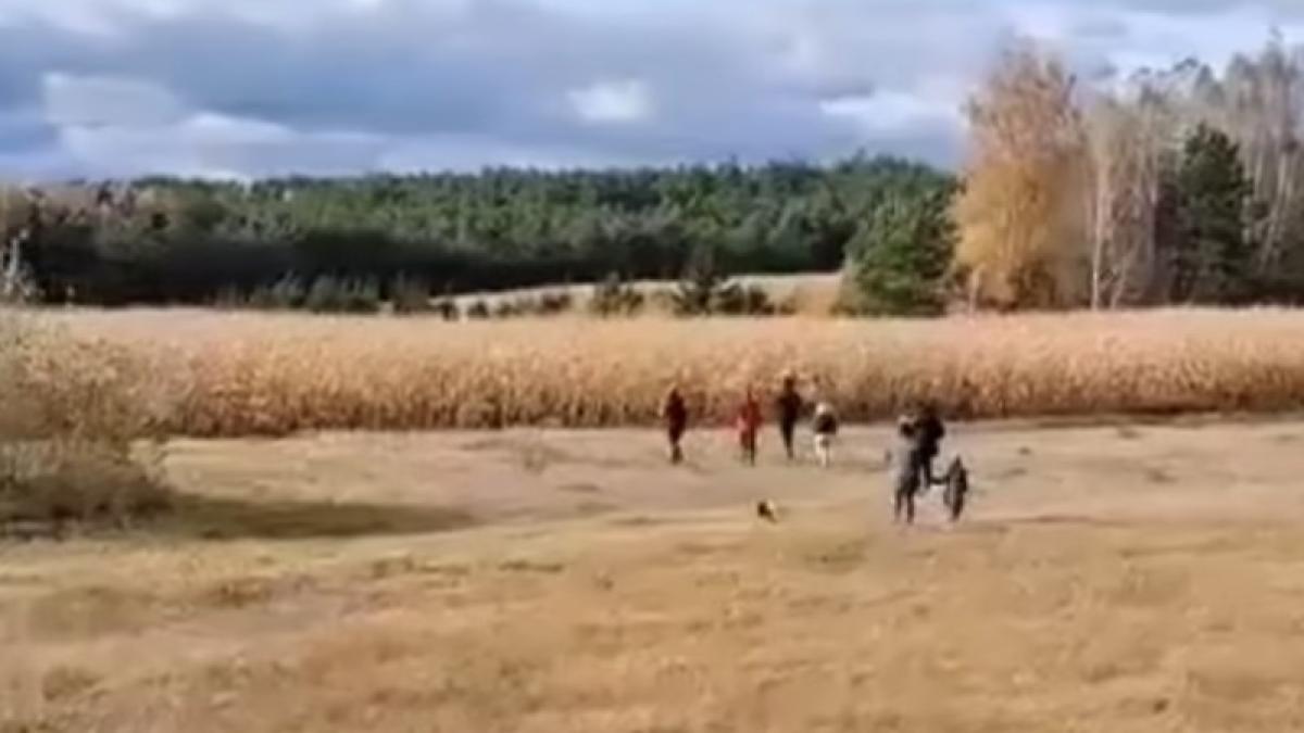 migranti-ilegali-in-lanul-de-porumb_64152500