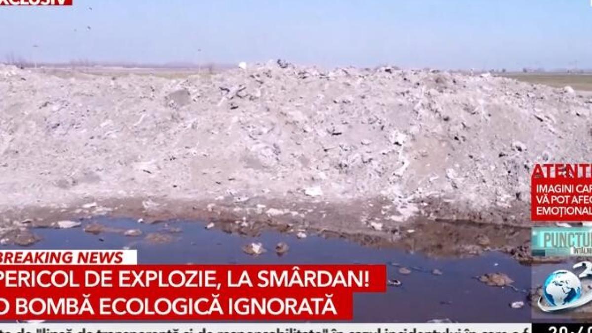 tone-de-animalele-moarte--ingropate-pe-un-camp-din-smardan--exista-pericolul-de-explozie_53268300