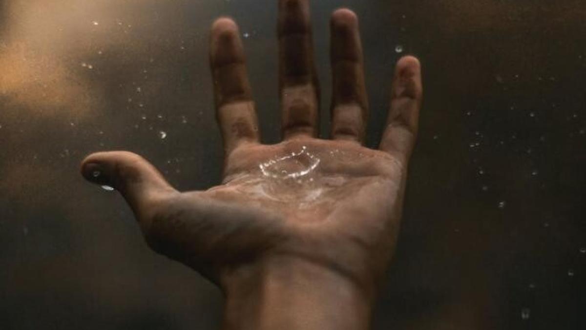 anm_cod_ploi_foto_pexels_58658700