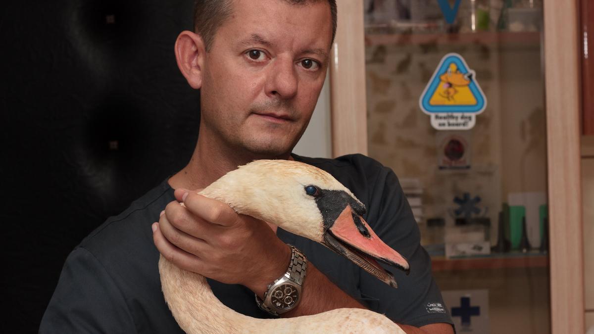 vicepresedintele-pnl-tulcea-ii-face-prosti-si-nesimtiti-pe-locuitorii-din-delta-dunarii_54507900