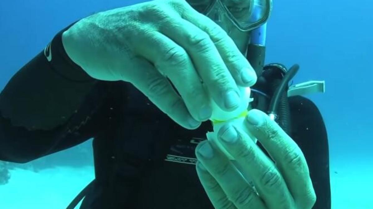 ce-se-intampla-daca-spargi-un-ou-sub-apa--rezultat-uimitor_78486600