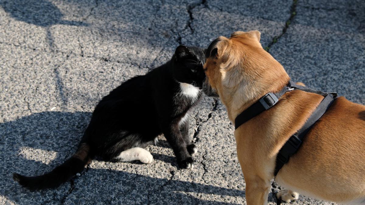 a-meeting-g0c066163c_1920_70882800