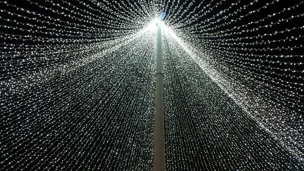 lumini_craciun_pxb_40101500