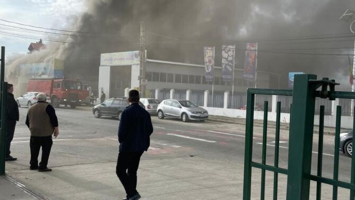incendiu-violent-la-un-service-auto-din-curtea-de-argesprc-ccprc-a6_86274200