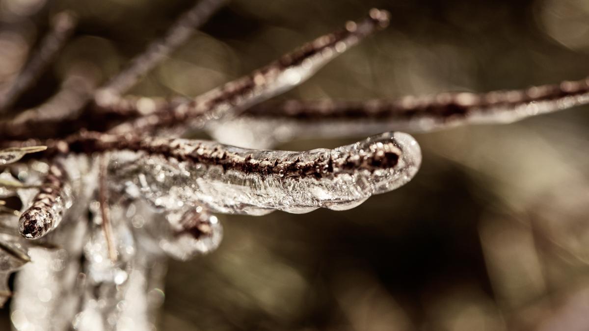 vremea-8-14-noiembrie--val-de-frig-peste-romania--mihai-hustiu-anm-am-putea-avea-in-jur-de-minus-10-grade_71070700