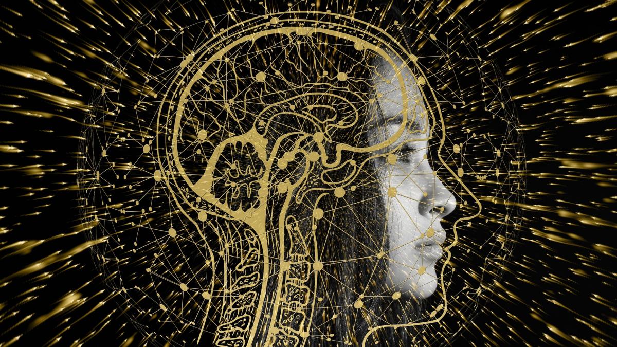 cercetatorii-au-gasit-o-diferenta-ciudata-intre-creireul-uman-si-cel-al-altor-mamifere_68378500