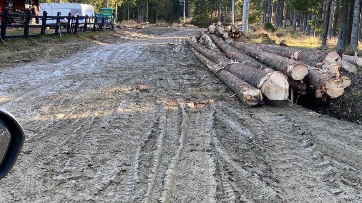 drum-forestier_39487000