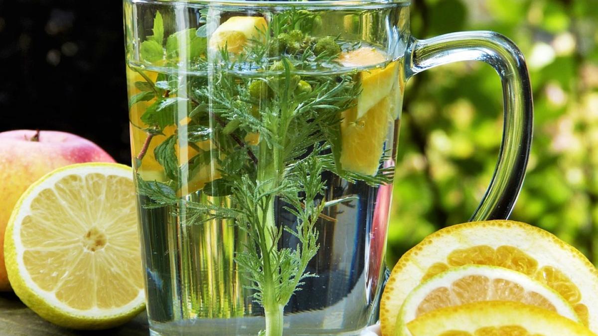 cum-tratezi-infectiile-respiratorii-cu-plante--remedii-naturale_60524000