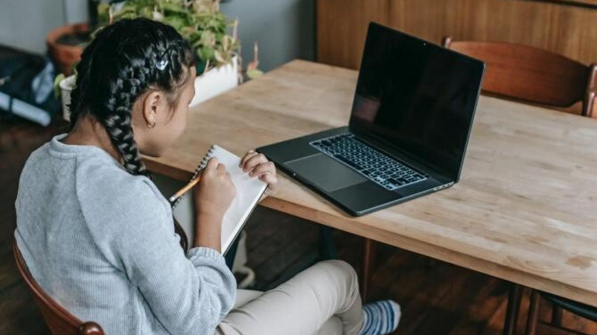 elevi-blocati-in-sistemul-online_35172300