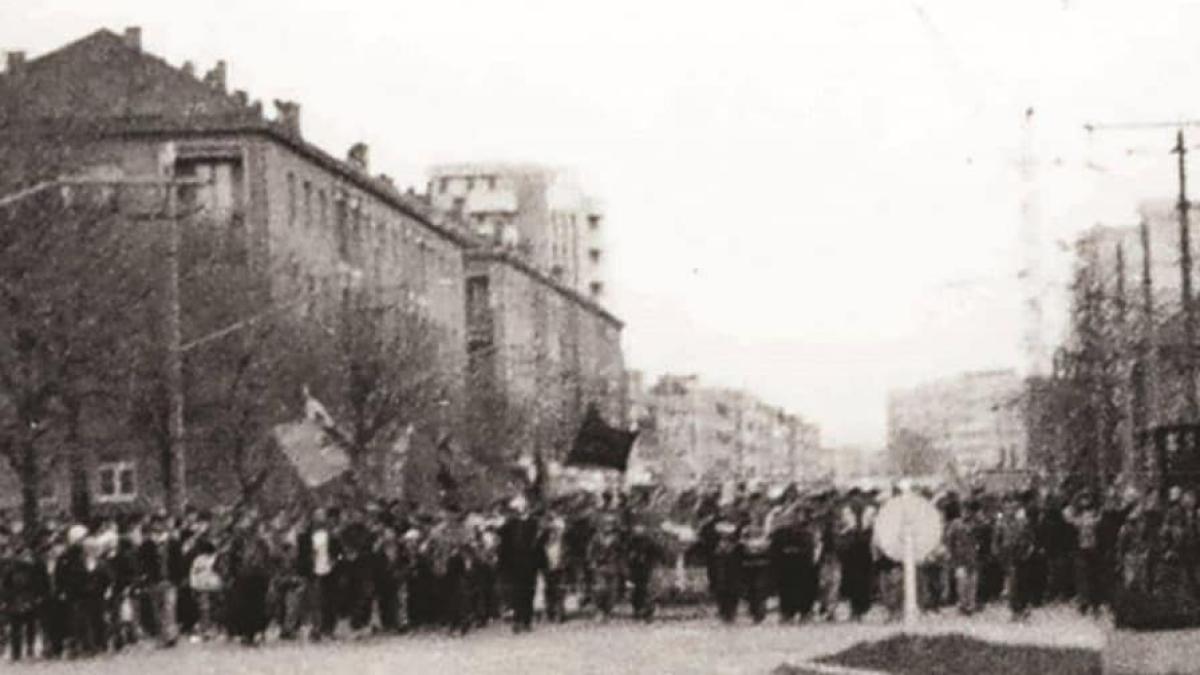 ioana-constantin-pmp_70239100