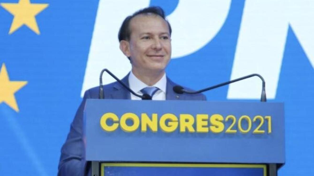 florin-citu-pnl-premier_50639100